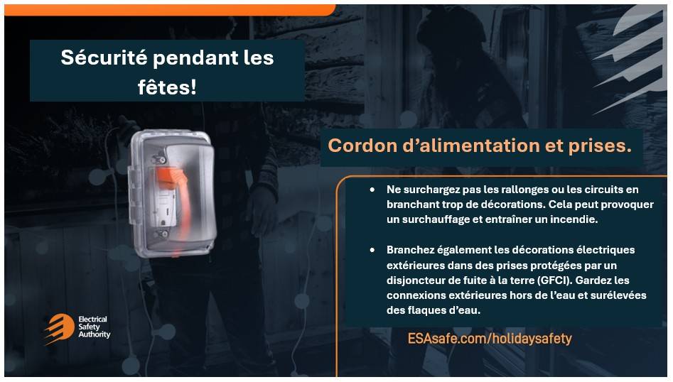 Holiday Safety Cords & plugs FR Holiday Safety Cords & plugs FR