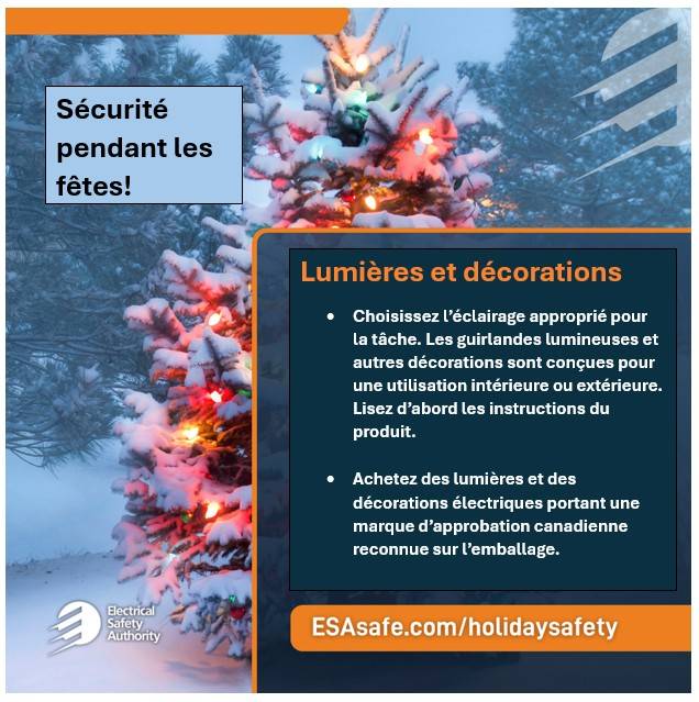 Holiday Safety Hanging Lights FR Holiday Safety Hanging Lights FR